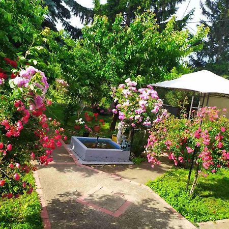 Apartment Ljupka Pancevo Bagian luar foto