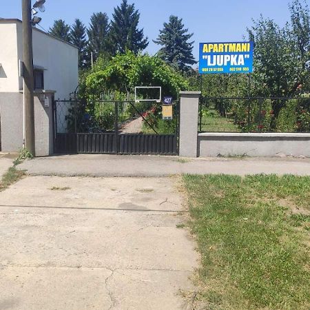 Apartment Ljupka Pancevo Bagian luar foto