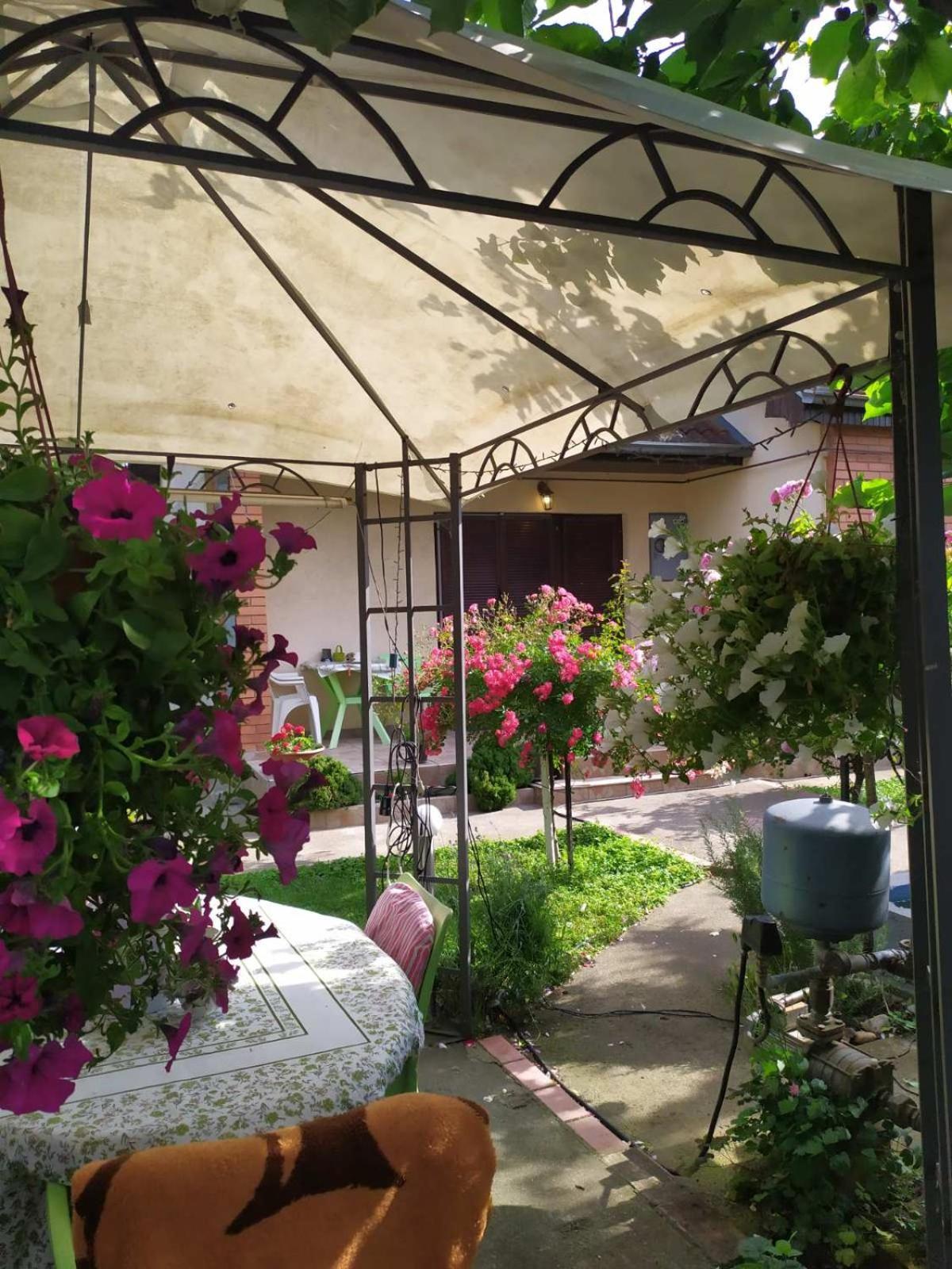 Apartment Ljupka Pancevo Bagian luar foto