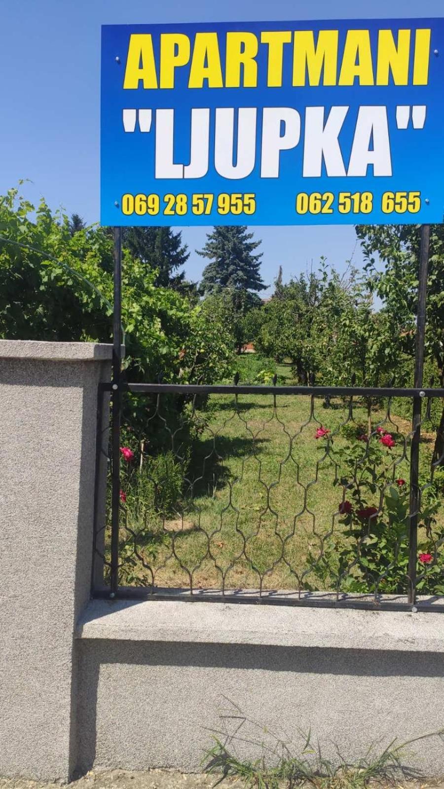 Apartment Ljupka Pancevo Bagian luar foto