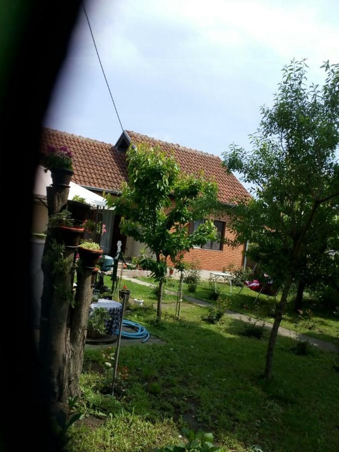 Apartment Ljupka Pancevo Bagian luar foto