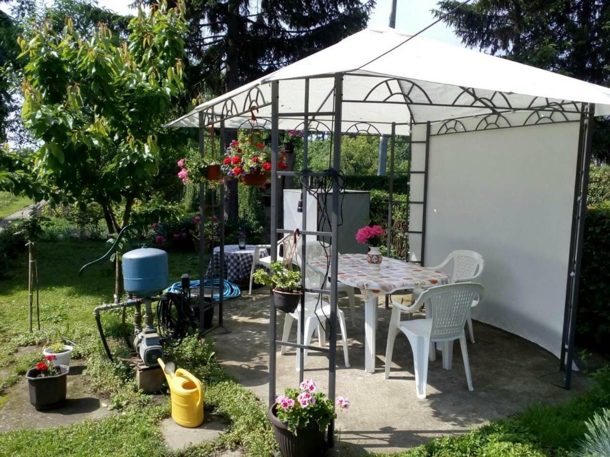Apartment Ljupka Pancevo Bagian luar foto