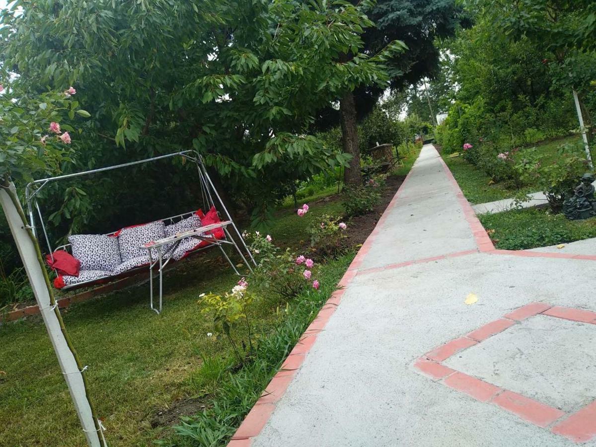 Apartment Ljupka Pancevo Bagian luar foto