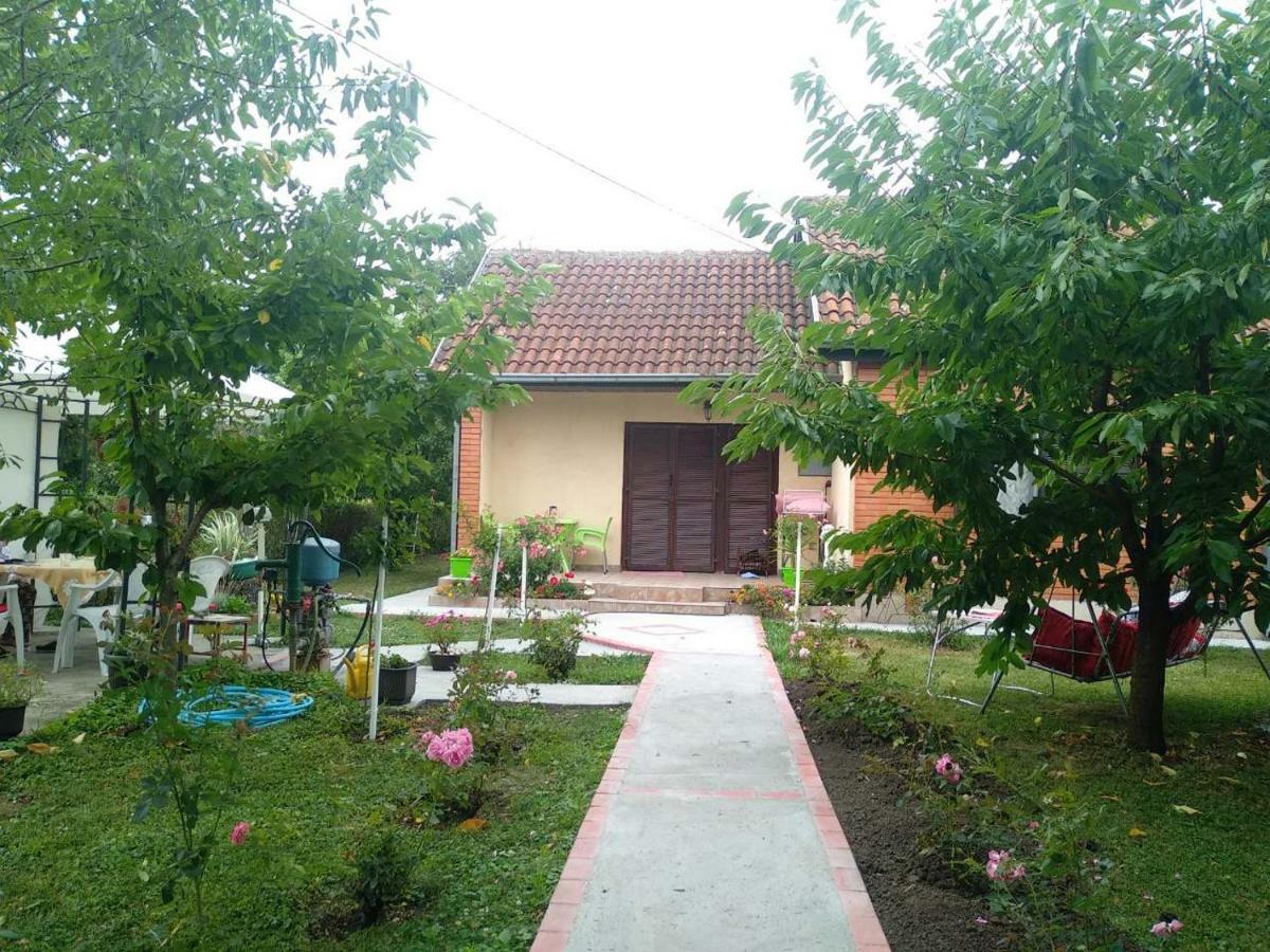 Apartment Ljupka Pancevo Bagian luar foto