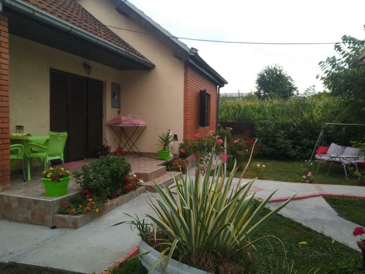 Apartment Ljupka Pancevo Bagian luar foto