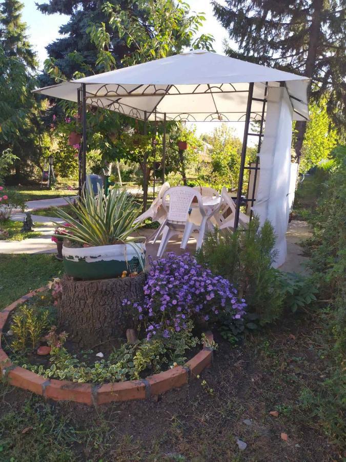 Apartment Ljupka Pancevo Bagian luar foto