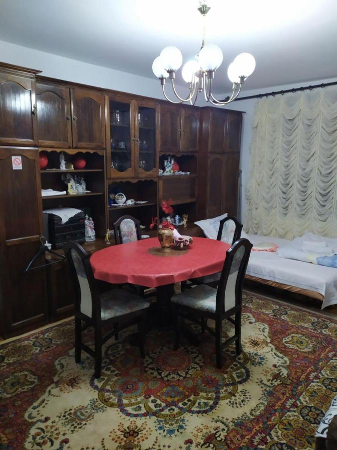 Apartment Ljupka Pancevo Bagian luar foto