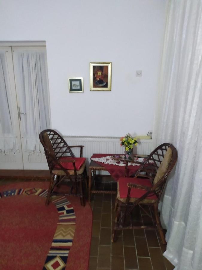 Apartment Ljupka Pancevo Bagian luar foto