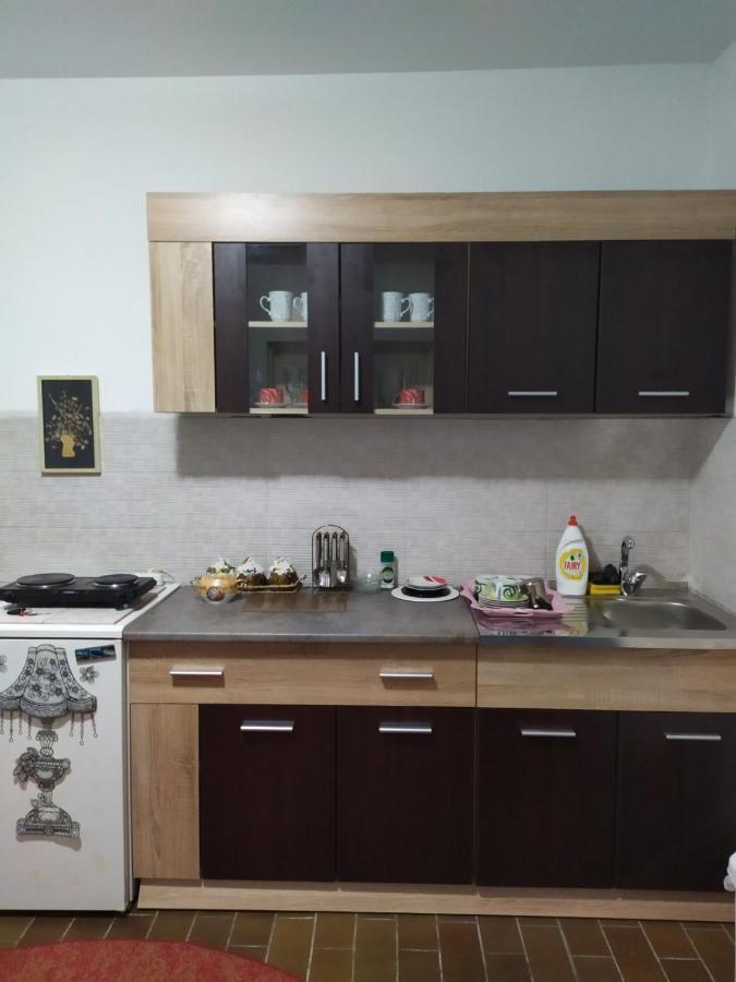 Apartment Ljupka Pancevo Bagian luar foto
