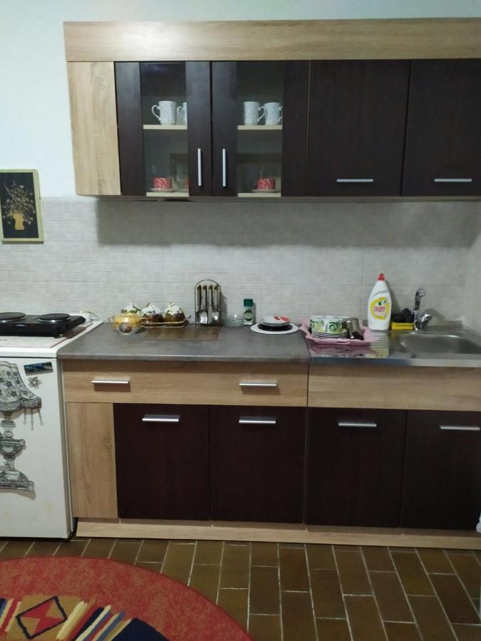 Apartment Ljupka Pancevo Bagian luar foto